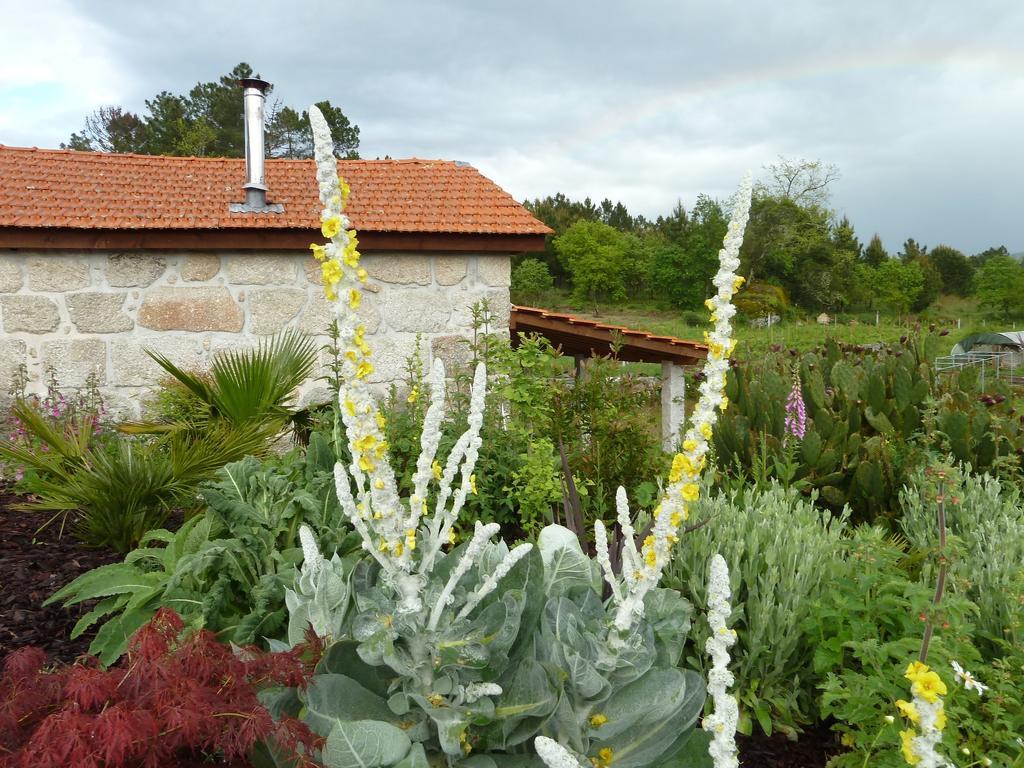 Quinta Do Cobral Villa Oliveira do Hospital Exterior photo